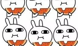 带你去吃瓜瓜哥视频.体育圈饭圈,揭秘体育圈饭圈风云录